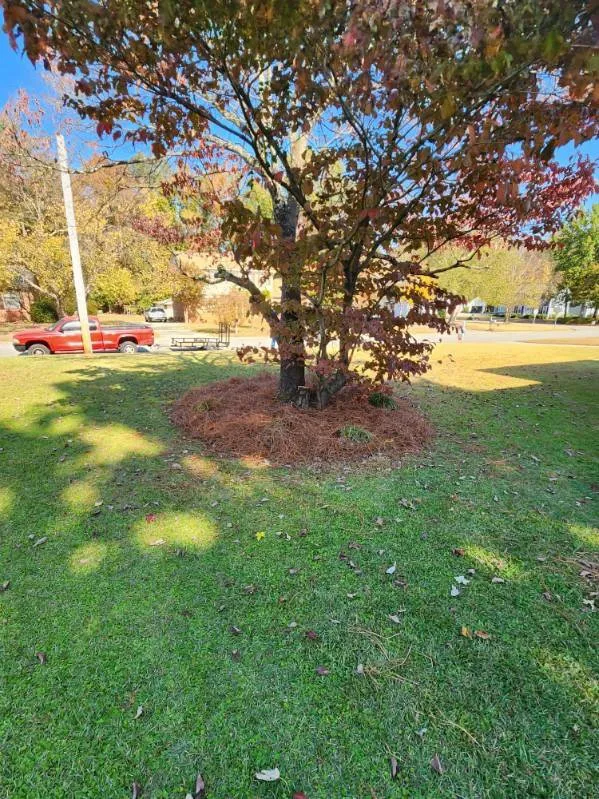 Custom garden landscaping for year-round maintenance across Lumberton, NC - Bush Masters Lawncare And Service