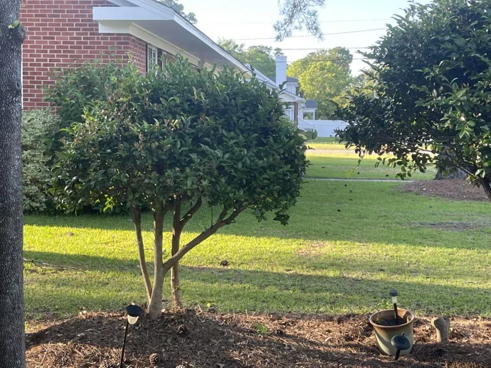 Professional garden landscaping experts serving Lumberton, NC - Bush Masters Lawncare And Service