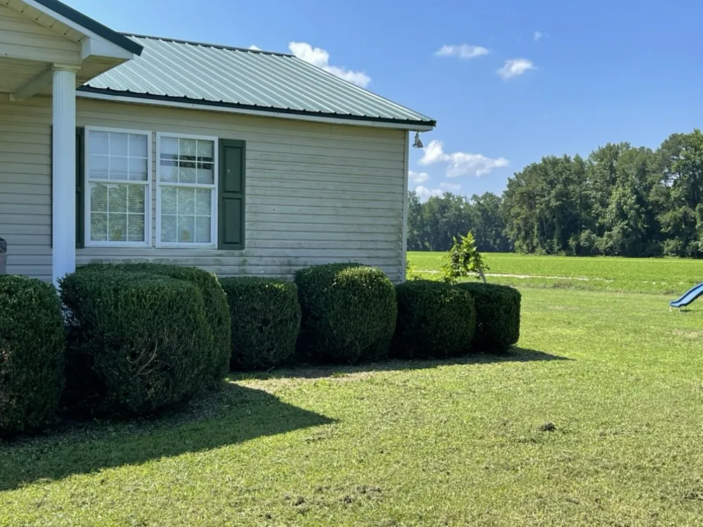 Affordable yard cleanup service in Lumberton, NC by Bush Masters Lawncare And Service