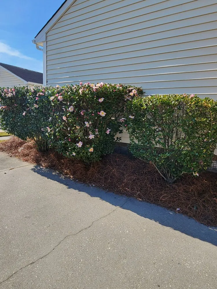 Top-rated lawn mowing service for year-round maintenance across Lumberton, NC - Bush Masters Lawncare And Service