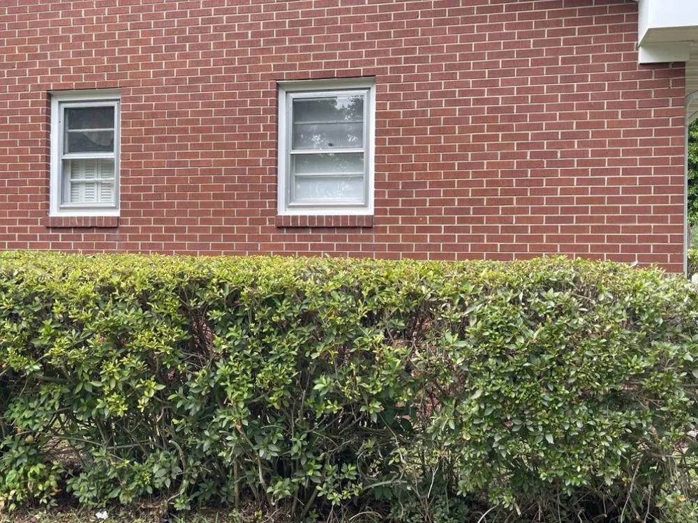 Expert yard maintenance in Lumberton, NC by Bush Masters Lawncare And Service