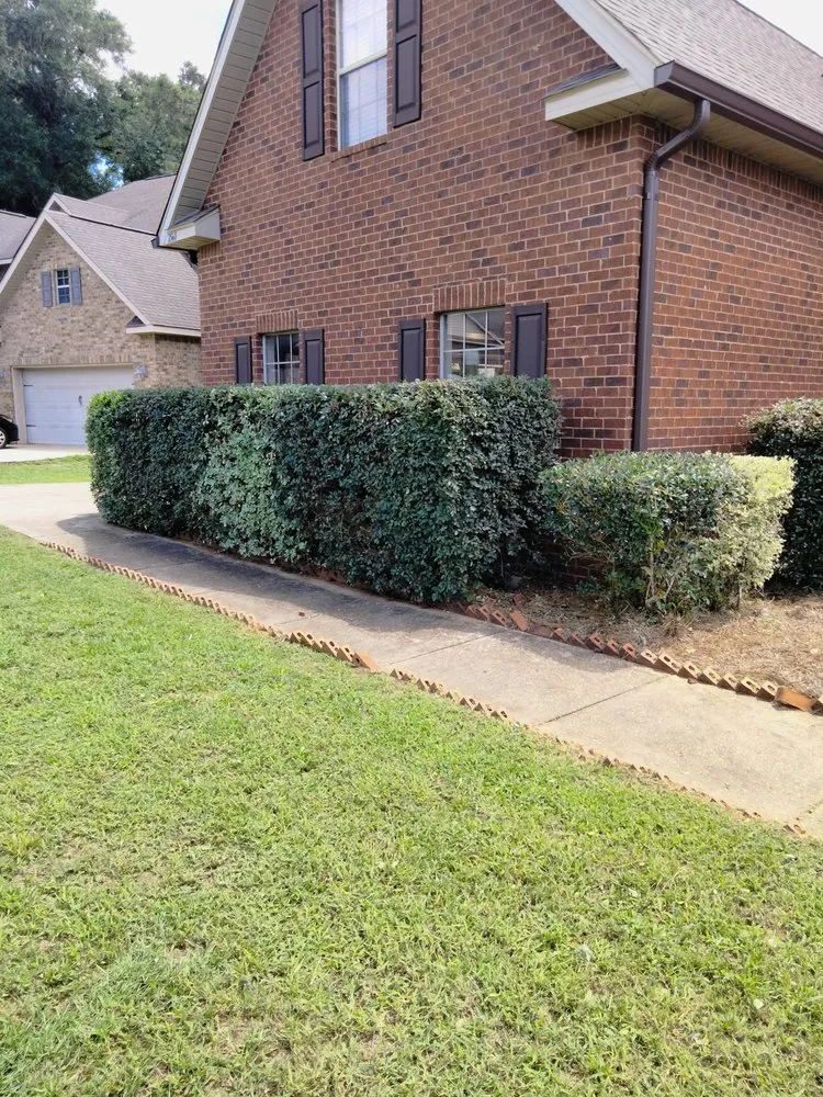 Reliable yard cleanup service in Mobile, AL - Bush Pro Lawn Care