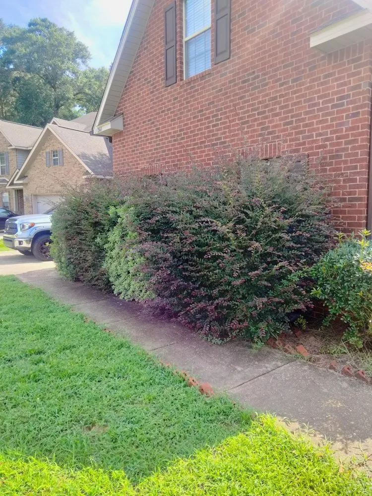 Local yard maintenance in Mobile, AL by Bush Pro Lawn Care