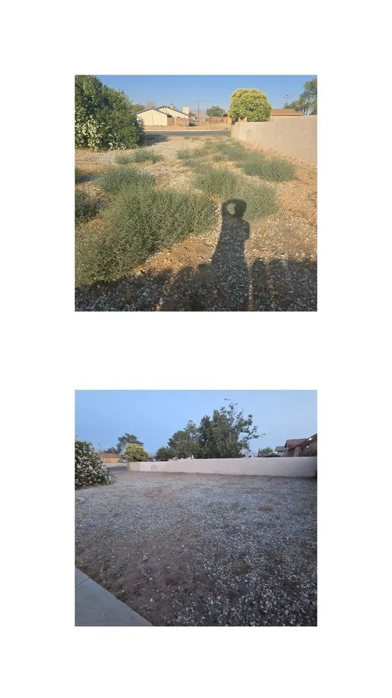 Custom lawn care service in Victorville, CA by Bush Wackers