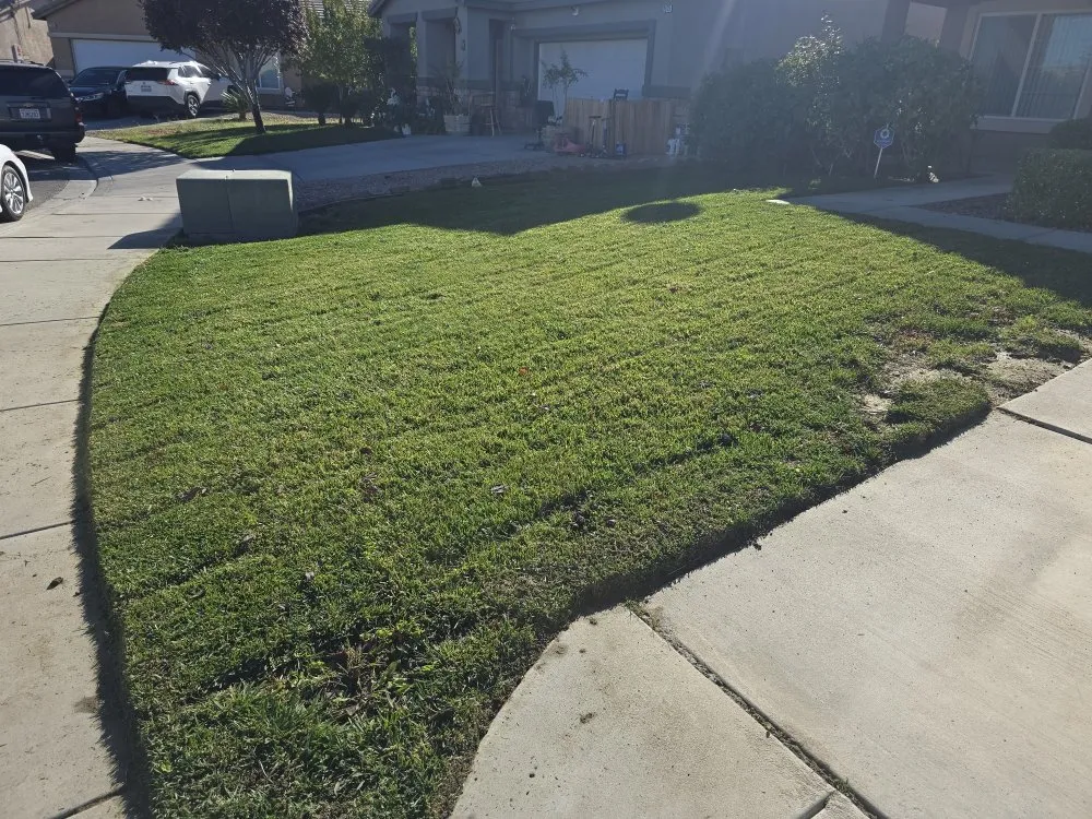 Local landscape installation near you in Victorville, CA by Bush Wackers