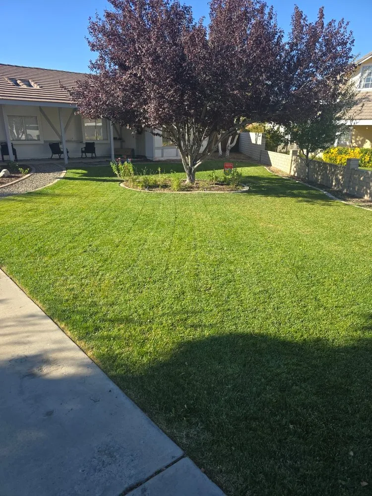 Trusted lawn mowing service experts serving Victorville, CA - Bush Wackers