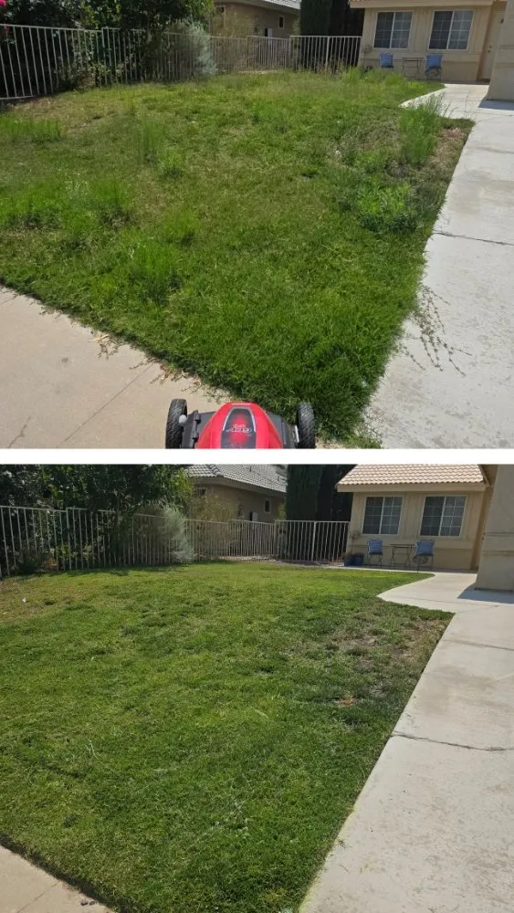 Expert residential landscaping for year-round maintenance in Victorville, CA by Bush Wackers