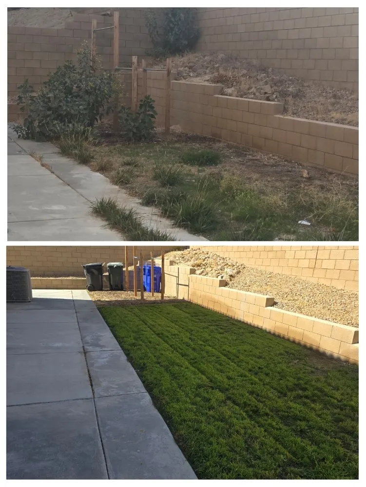 Professional yard maintenance in Victorville, CA by Bush Wackers