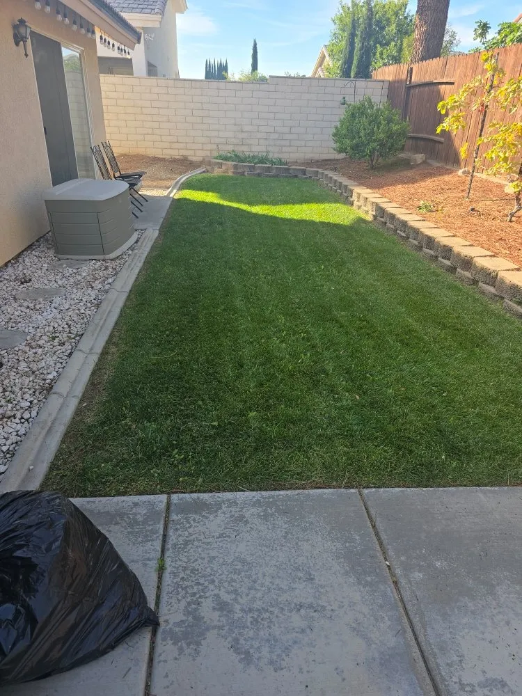 Professional landscaping services with custom design in Victorville, CA by Bush Wackers