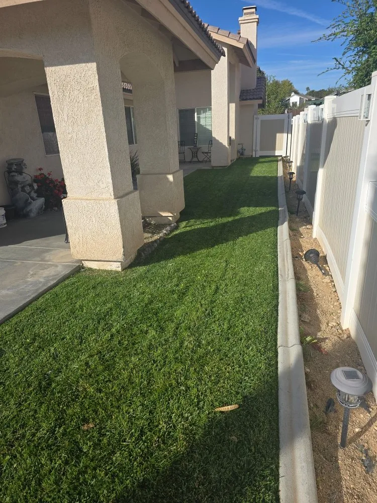 Affordable yard cleanup service in Victorville, CA - Bush Wackers