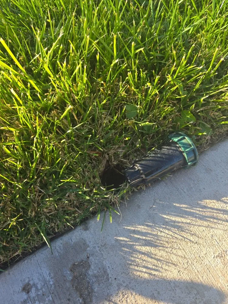 Expert outdoor landscaping for year-round maintenance across Victorville, CA - Bush Wackers