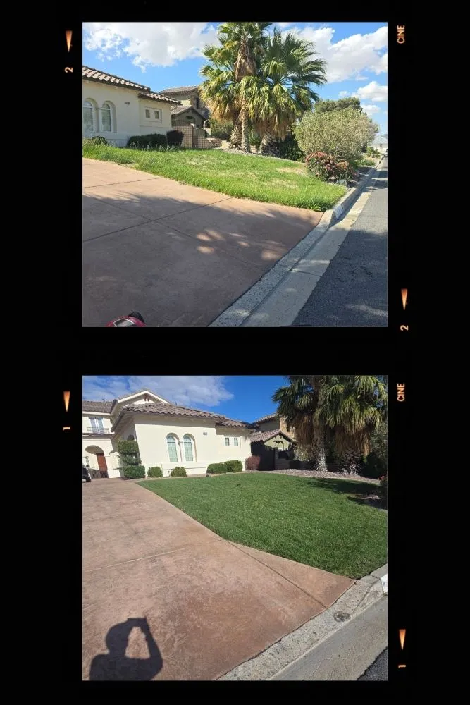 Affordable residential landscaping in Victorville, CA by Bush Wackers