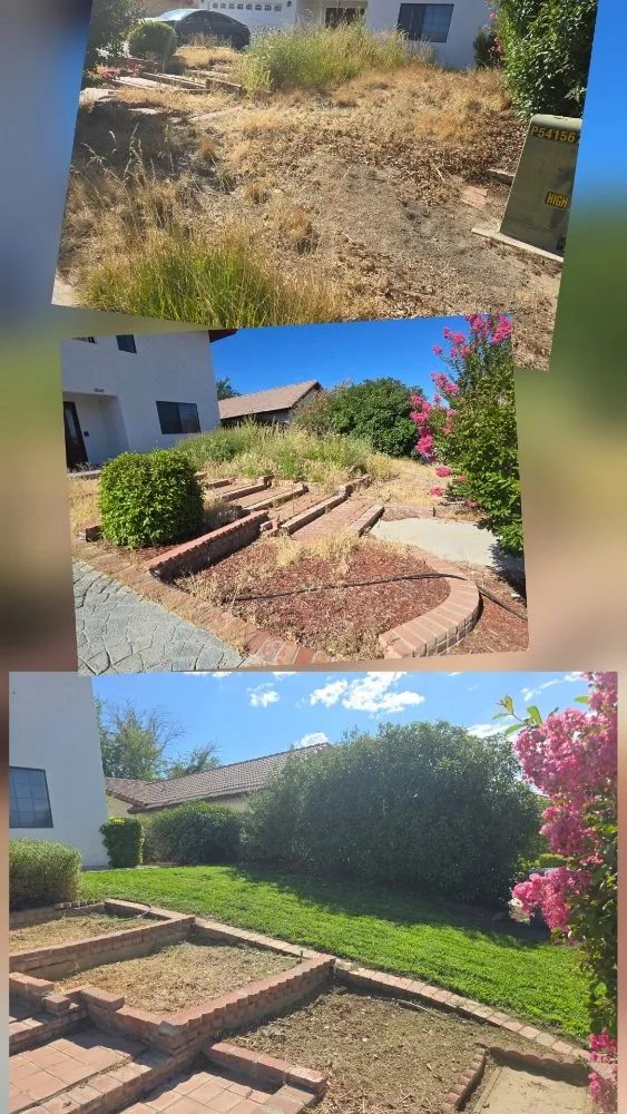 Affordable landscape design in Victorville, CA by Bush Wackers
