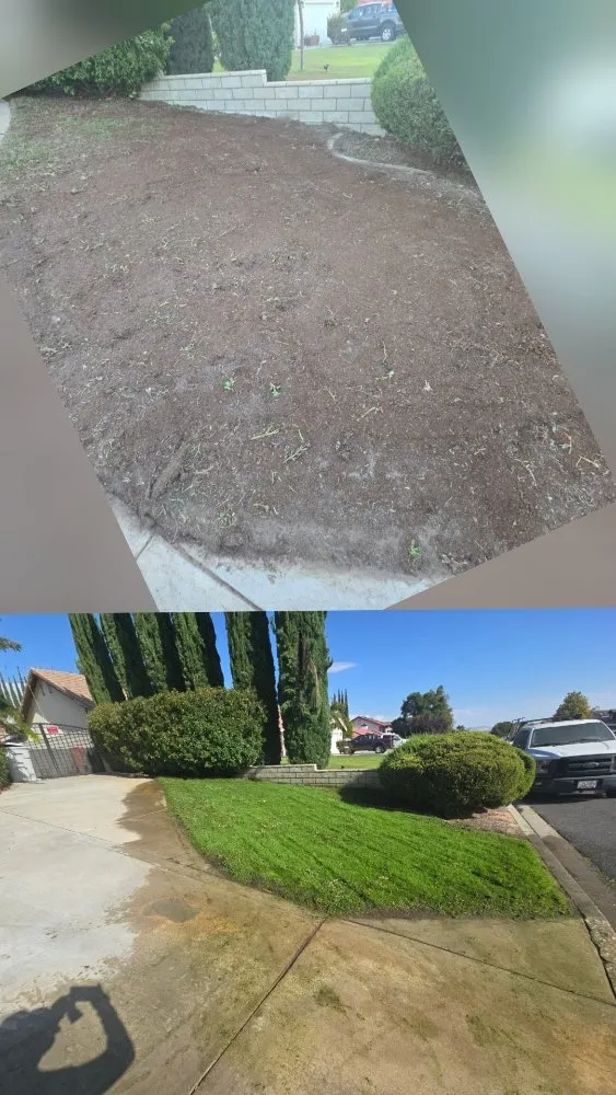 Local yard cleanup service experts serving Victorville, CA - Bush Wackers