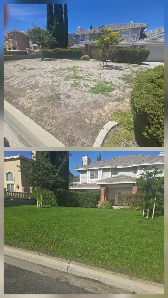 Trusted landscape design experts serving Victorville, CA - Bush Wackers