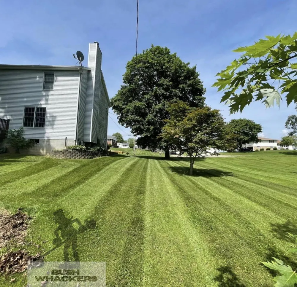 Top-rated yard cleanup service in Massillon, OH by Bush Whackers