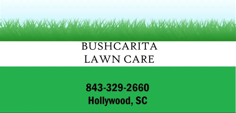 Top-rated yard cleanup service for year-round maintenance across Hollywood, SC - Bushcarita Lawn Care