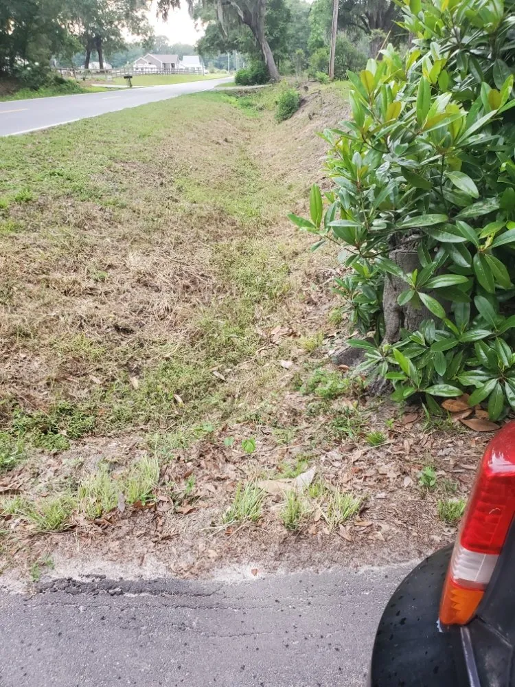 Trusted lawn care service experts serving Hollywood, SC - Bushcarita Lawn Care