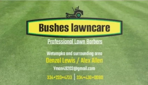 Bushes Lawn Care