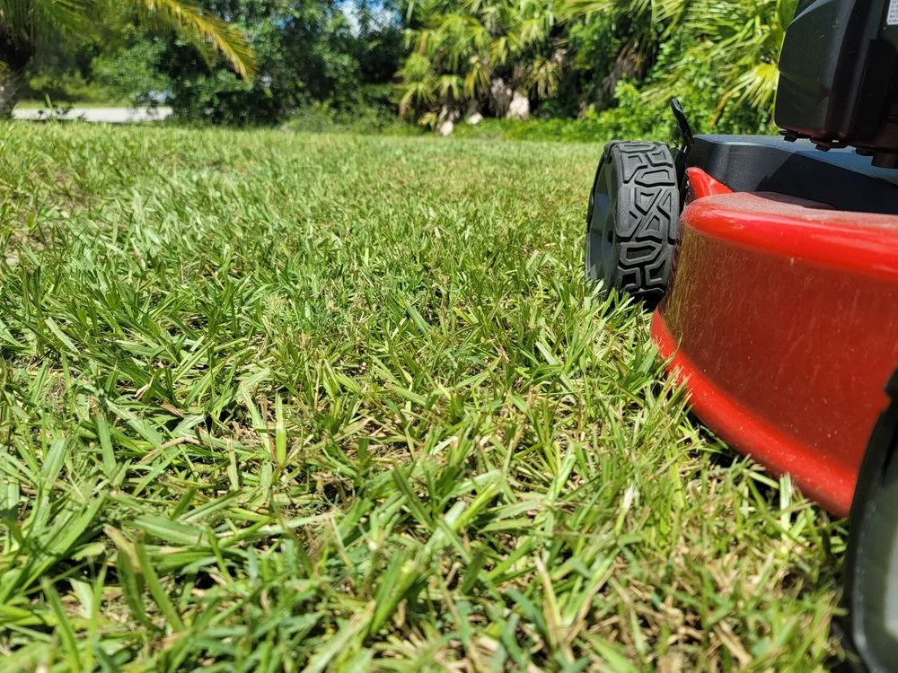 Reliable lawn care service experts serving Englewood, FL - Bushey Lawn Care