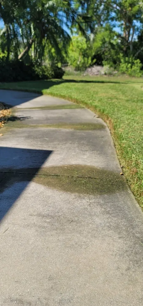 Reliable yard maintenance near you across Englewood, FL - Bushey Lawn Care