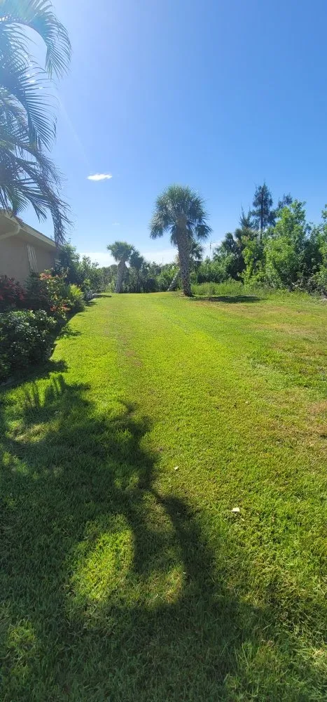 Affordable lawn mowing service in Englewood, FL - Bushey Lawn Care
