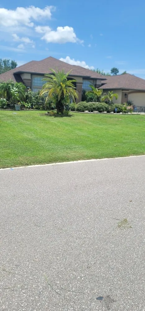 Trusted yard cleanup service in Englewood, FL - Bushey Lawn Care