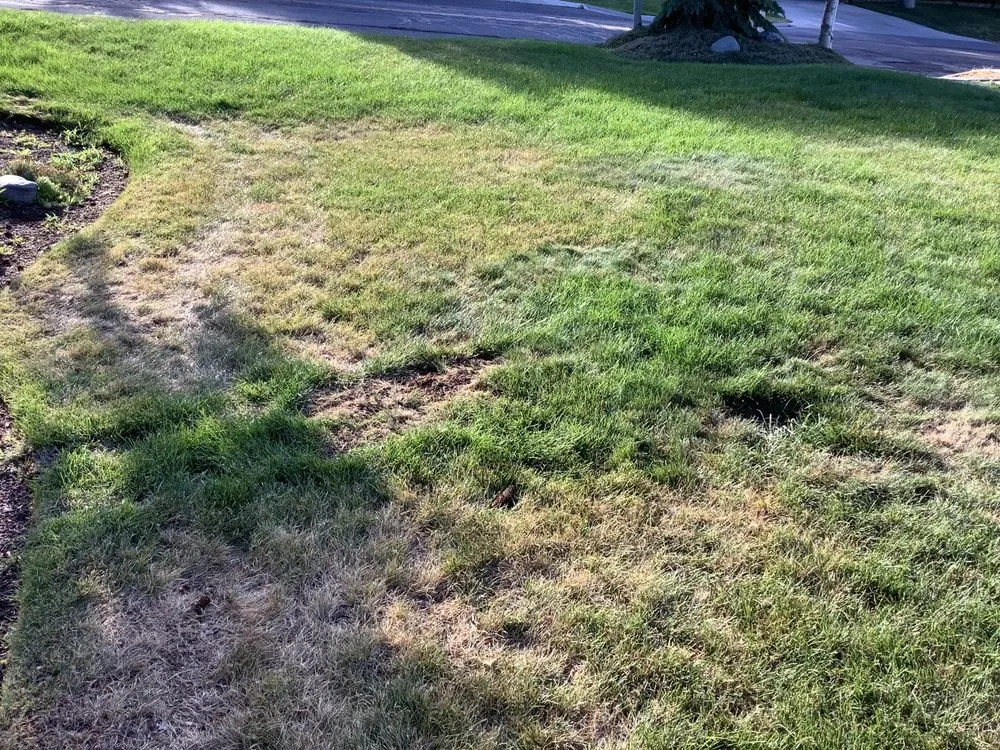 Expert lawn mowing service experts serving Saratoga Springs, UT - Bushman Landscaping