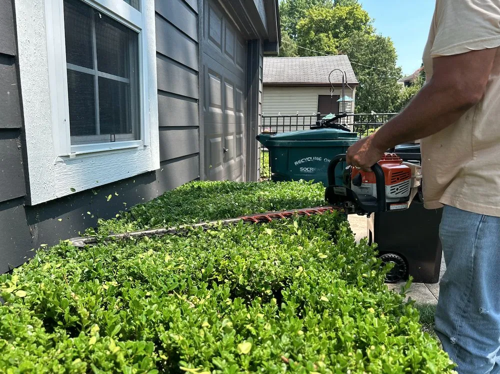 Reliable lawn mowing service in Sterling Heights, MI by Bushmaster Team