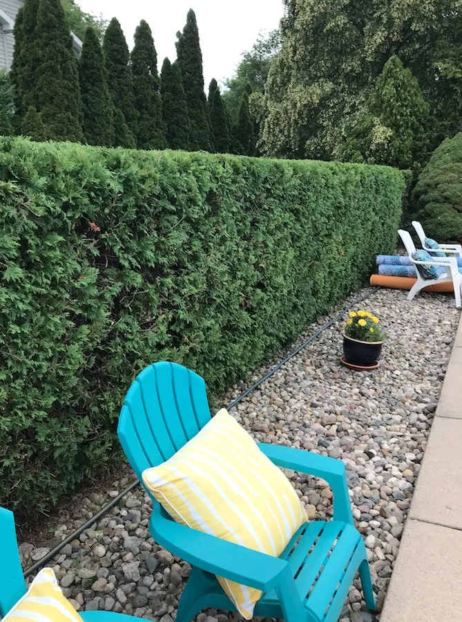 Expert lawn care service experts serving Sterling Heights, MI - Bushmaster Team