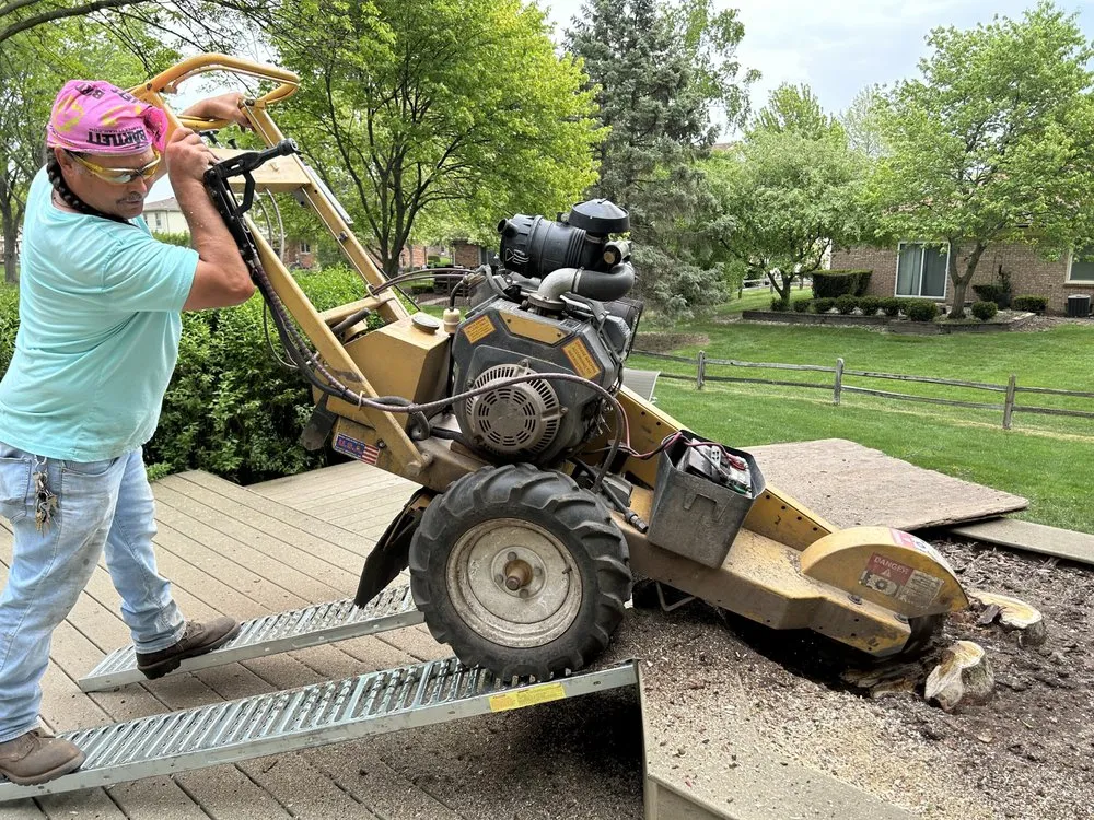 Expert lawn care service in Sterling Heights, MI by Bushmaster Team