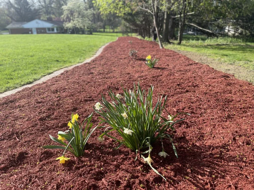 Reliable lawn mowing service experts serving Sterling Heights, MI - Bushmaster Team