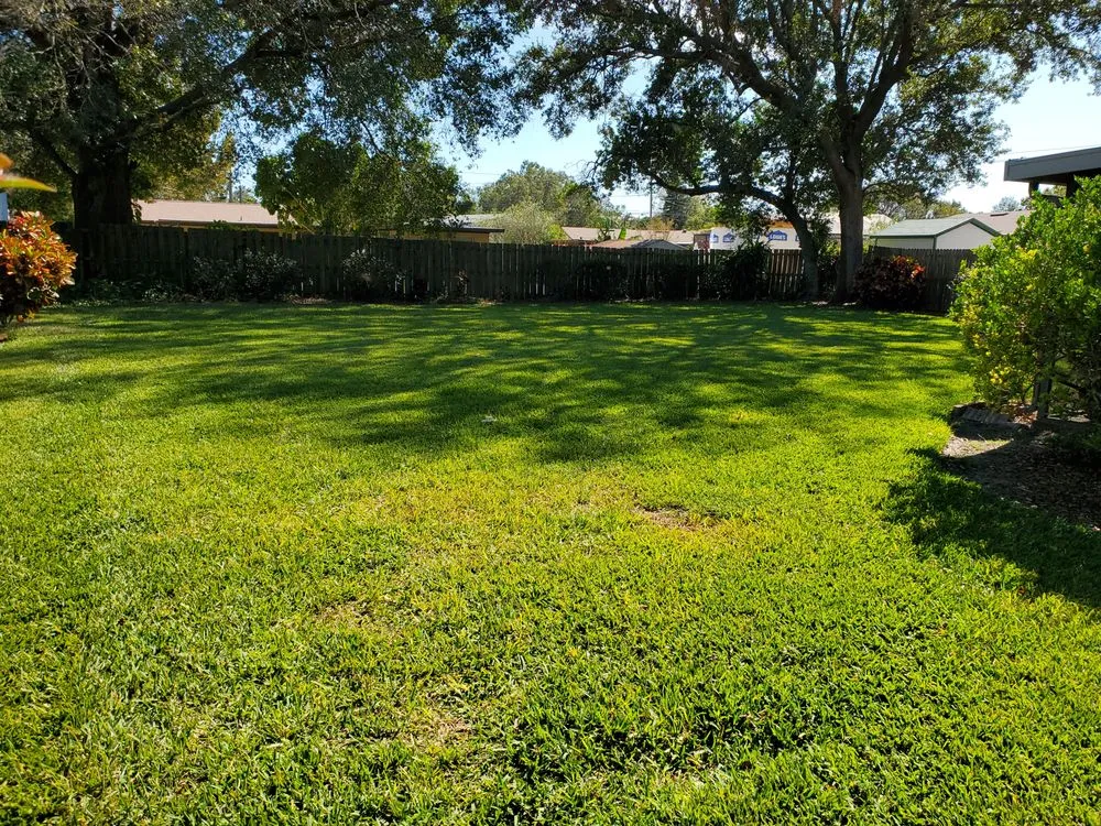 Top-rated landscape installation in Eagle Lake, FL by Bush's a1 lawn care