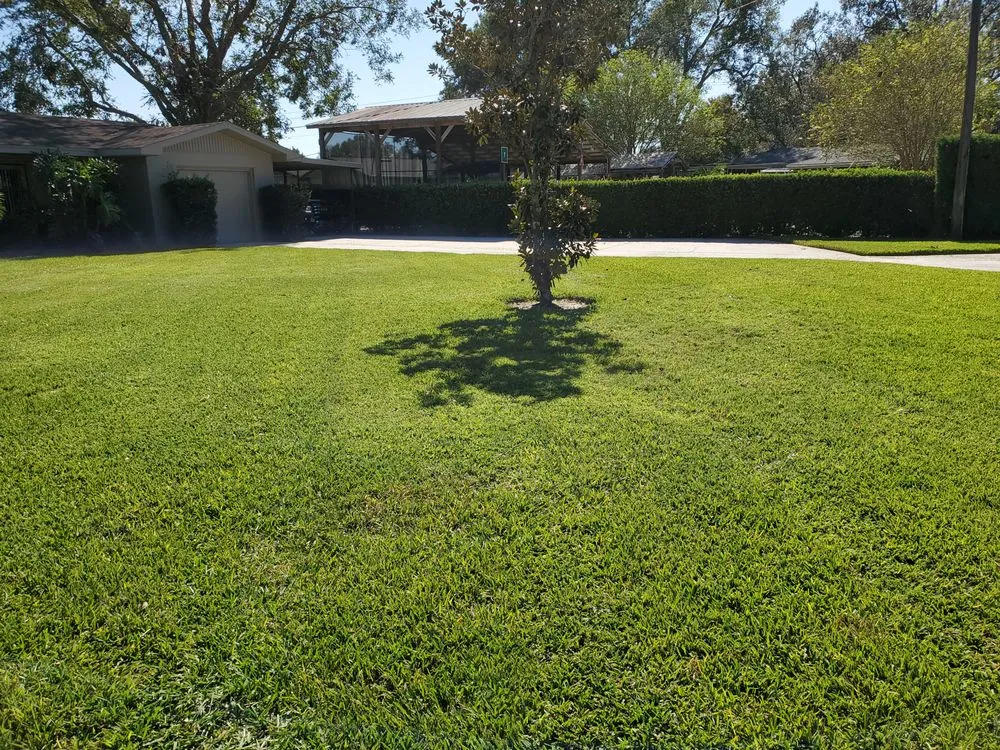 Local landscape design experts serving Eagle Lake, FL - Bush's a1 lawn care