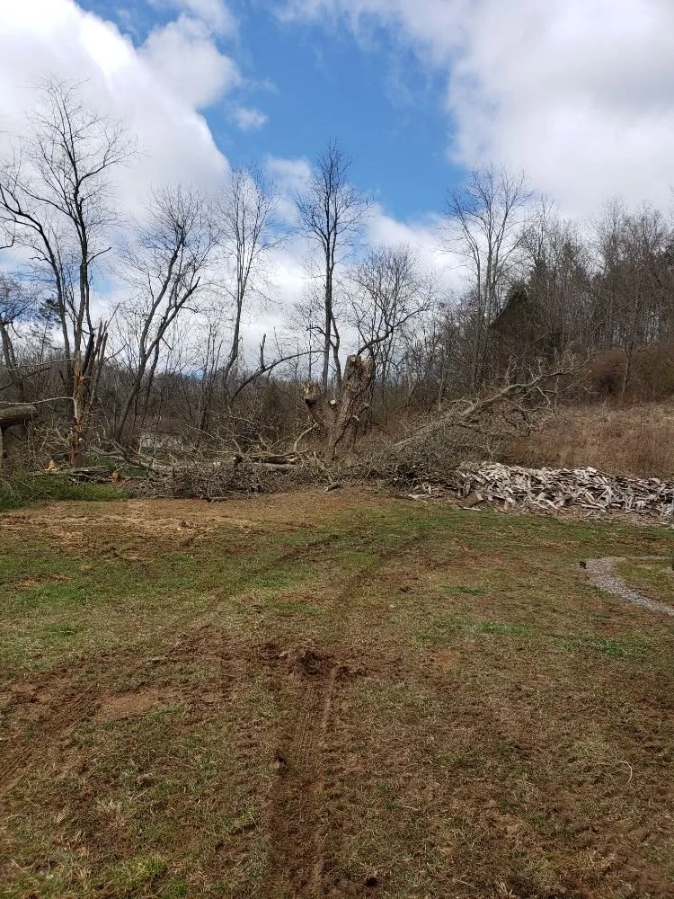 Professional yard cleanup service for outdoor upgrades in Camden, WV by Bushs Home Maintenance