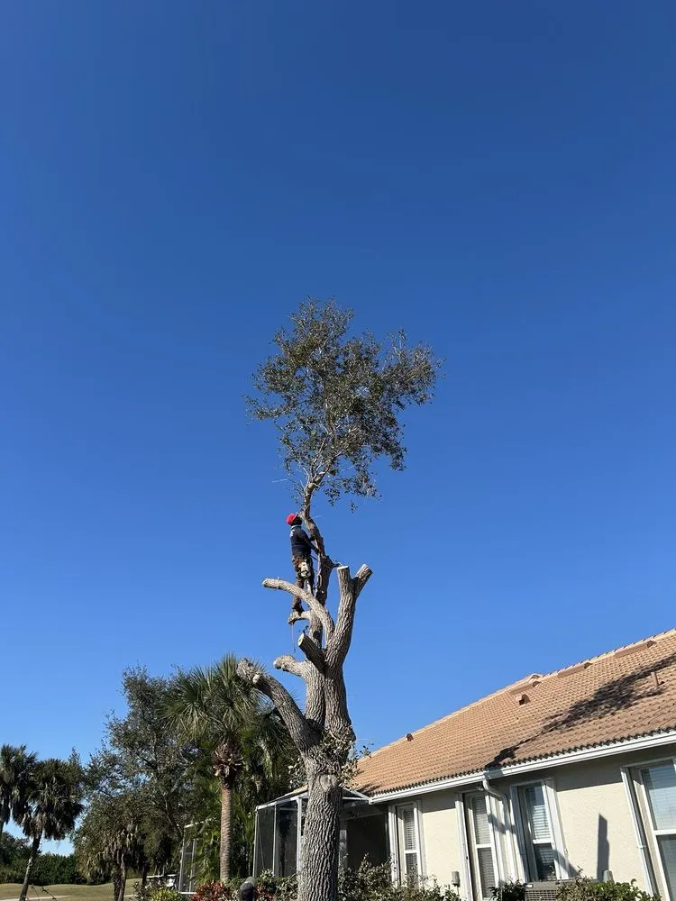 Expert landscape installation experts serving Englewood, FL - Bushwacker Tree Service & Lawn Care