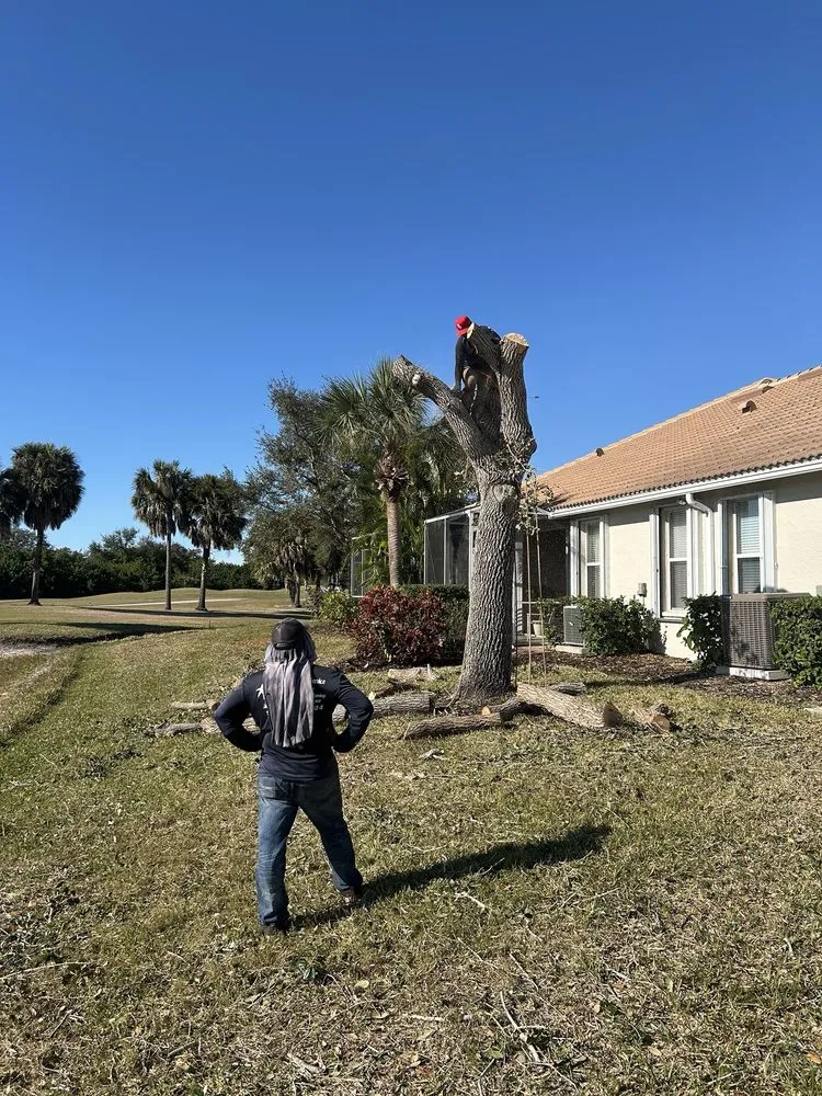 Local garden landscaping near you across Englewood, FL - Bushwacker Tree Service & Lawn Care