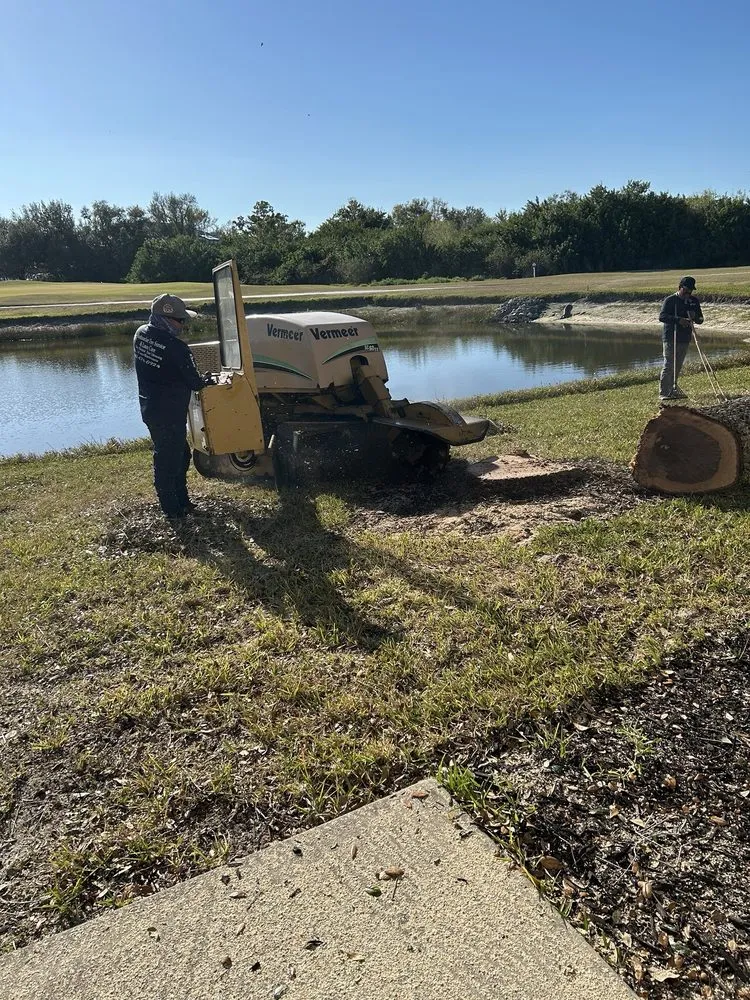 Expert yard cleanup service with custom design across Englewood, FL - Bushwacker Tree Service & Lawn Care