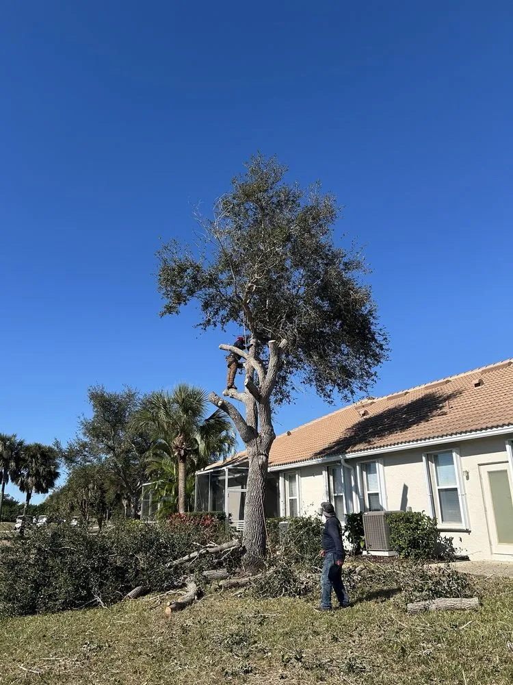 Professional outdoor landscaping near you in Englewood, FL by Bushwacker Tree Service & Lawn Care