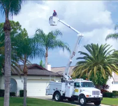 Professional lawn mowing service experts serving Englewood, FL - Bushwacker Tree Service & Lawn Care