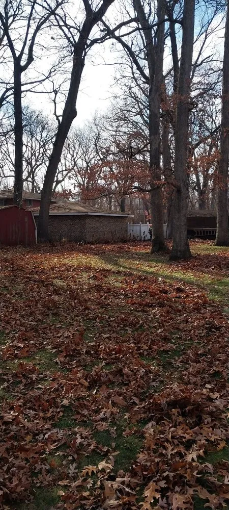 Local residential landscaping in Portage, IN - Bushwackers