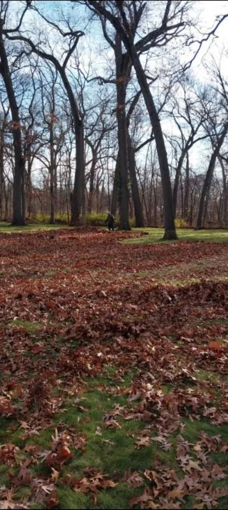 Expert landscaping services in Portage, IN - Bushwackers