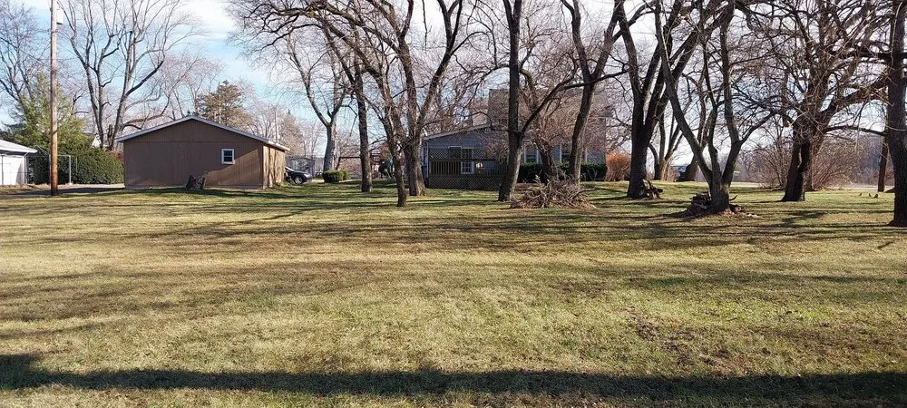 Custom yard cleanup service near you in Portage, IN by Bushwackers