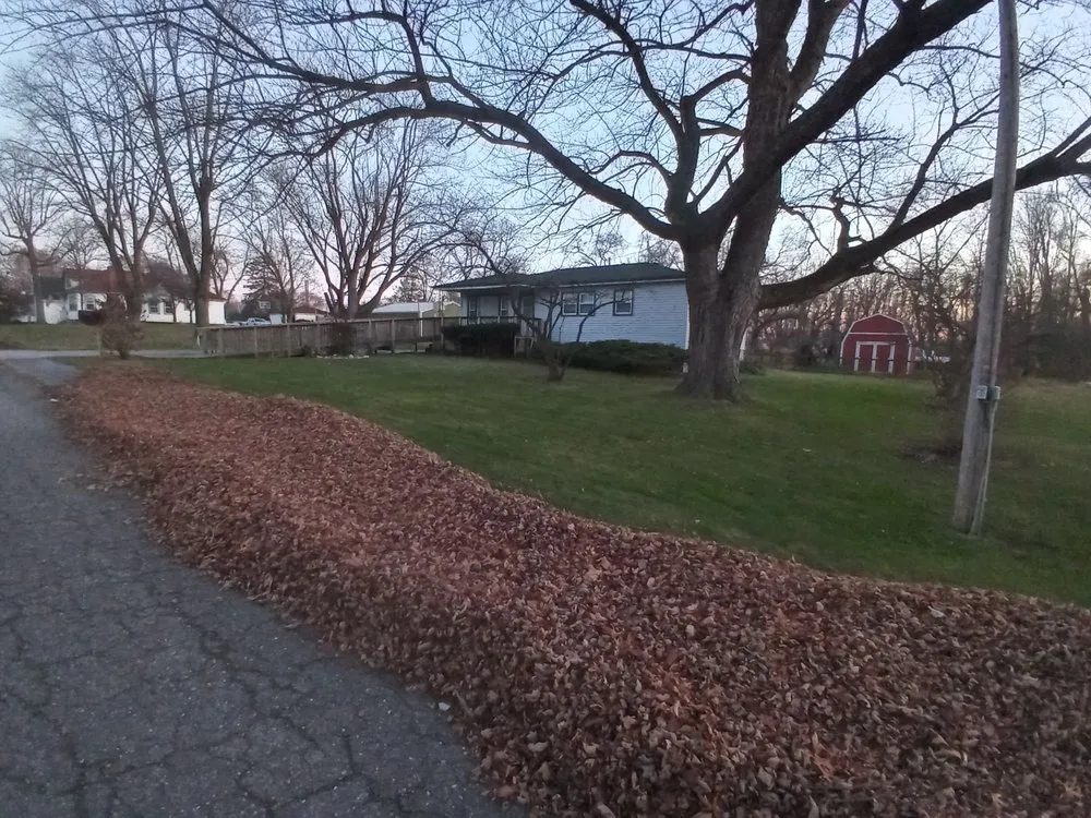 Reliable yard cleanup service for residential properties across Portage, IN - Bushwackers