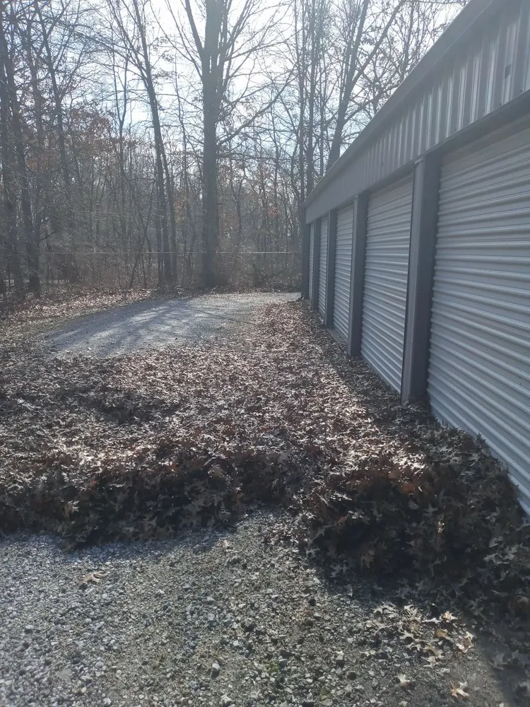 Local yard cleanup service in Portage, IN by Bushwackers