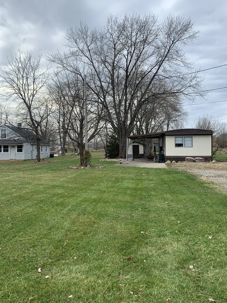 Trusted yard cleanup service experts serving Portage, IN - Bushwackers