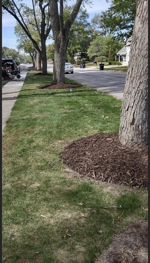 Affordable outdoor landscaping for outdoor upgrades in Portage, IN by Bushwackers