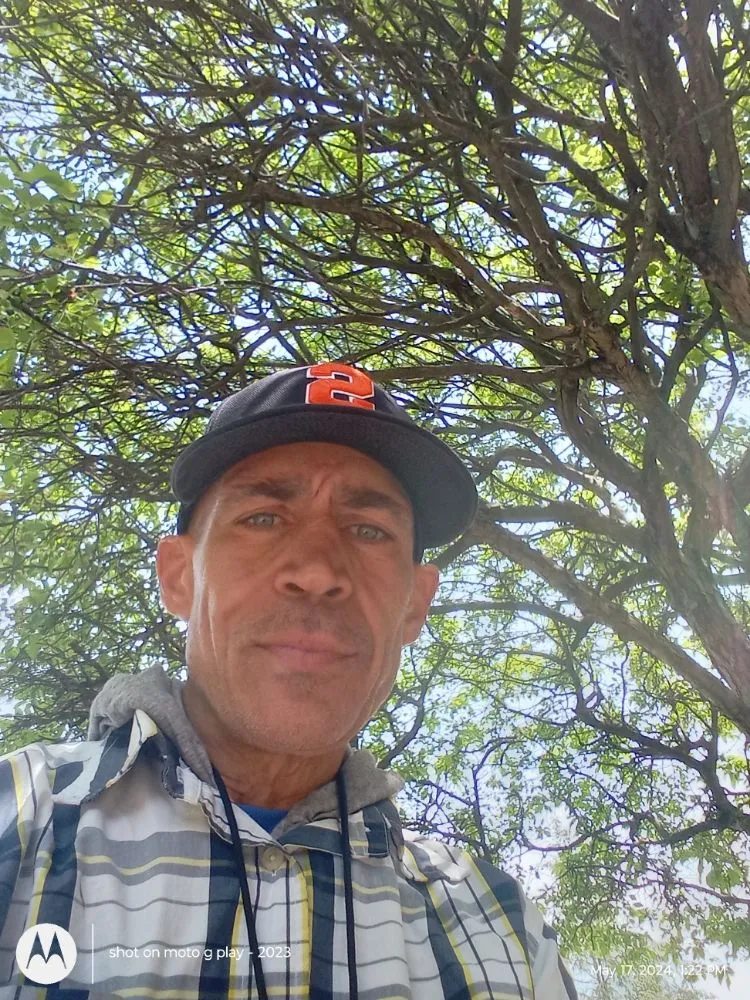 Local landscaping services experts serving Schenectady, NY - Bushwackers