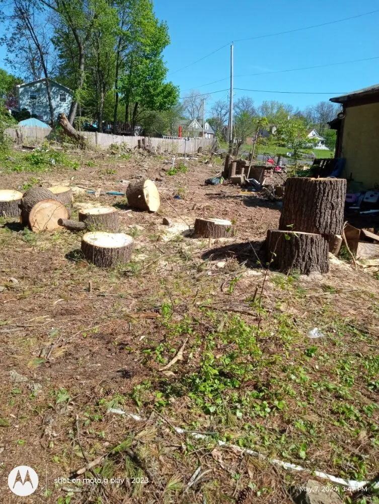 Professional lawn mowing service for homes across Schenectady, NY - Bushwackers