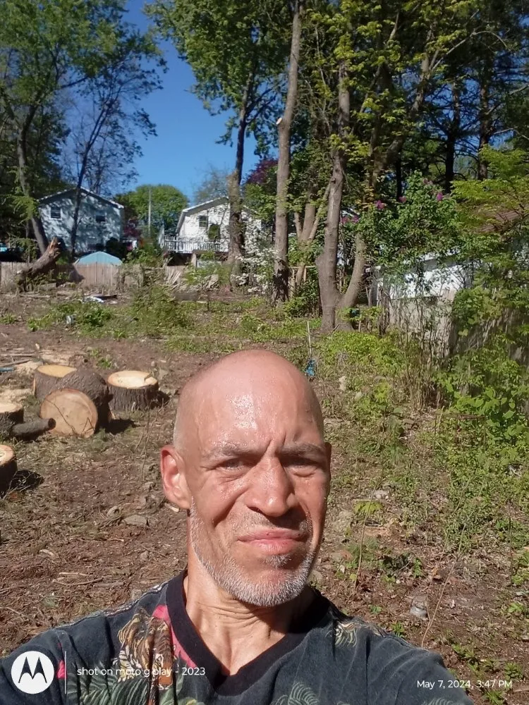 Reliable garden landscaping in Schenectady, NY by Bushwackers